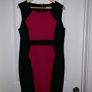 Women’s Calvin Klein Dress